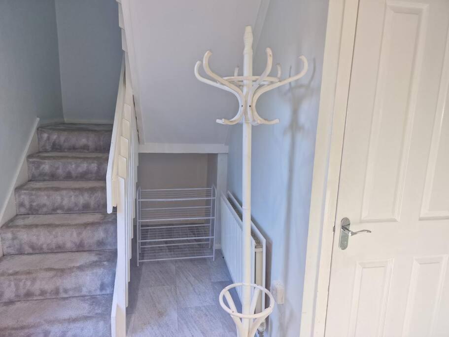 Apartment A&s Properties, No Guest Fees, Bank Transfe Deposit Available *
